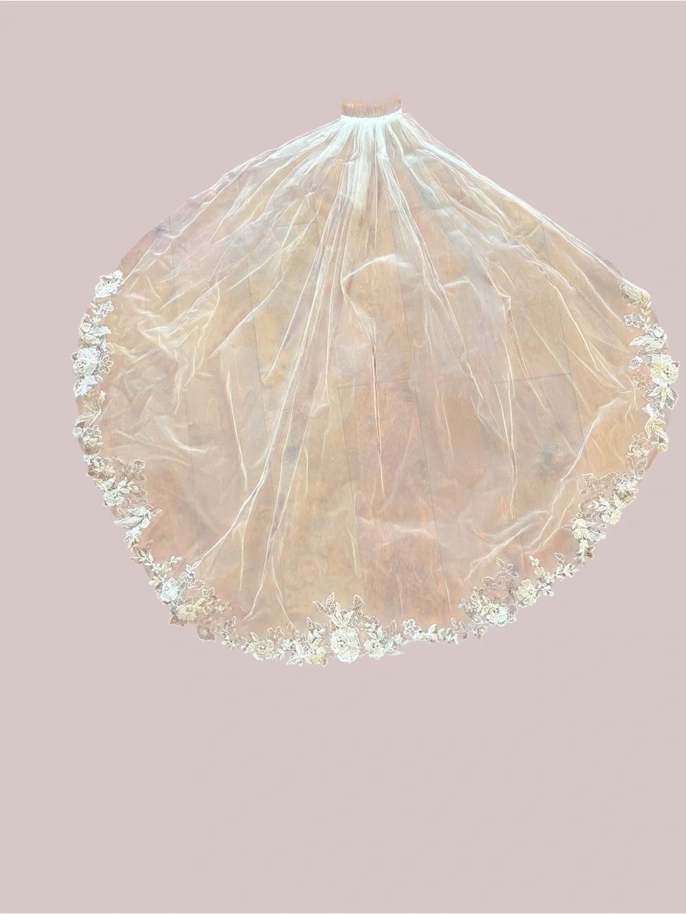 Lace Trim Bridal Veil in Ivory